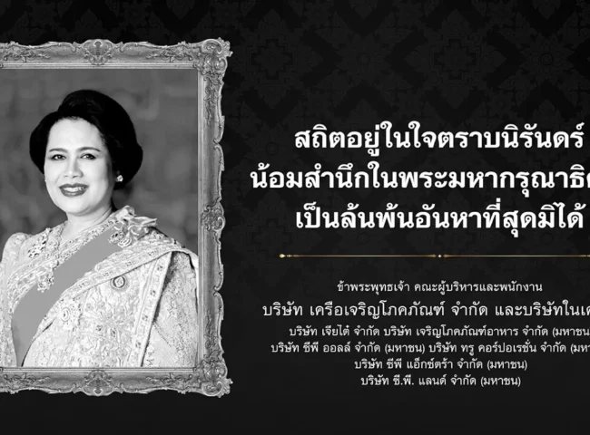 WEB Banner 750x450 px copy