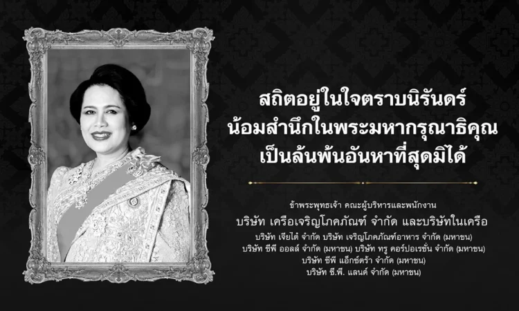 WEB Banner 750x450 px copy